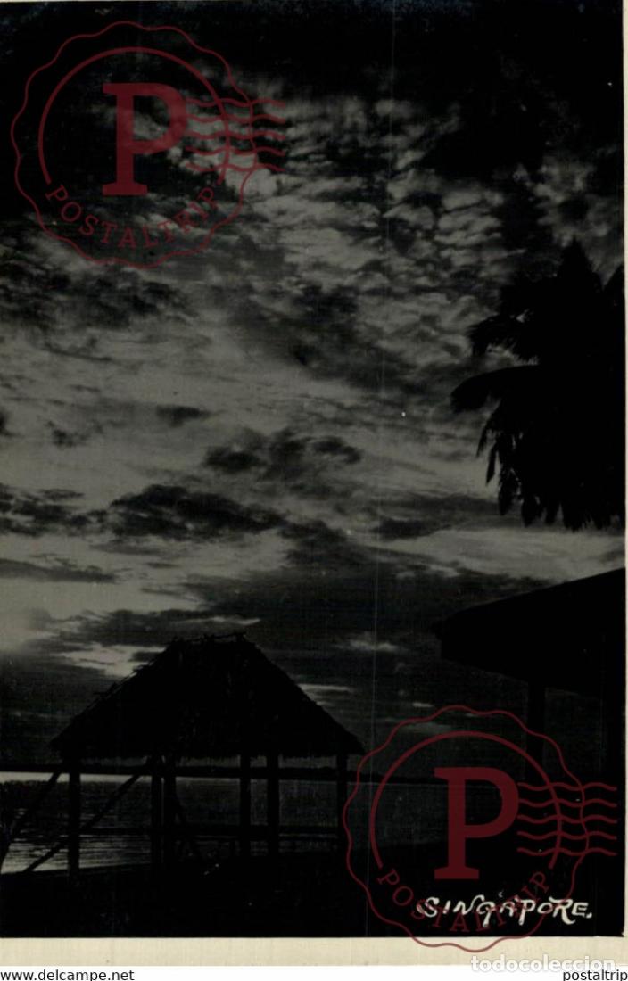 Postkarten: LANDSCAPE SUNSET PALM TREE RPPC SINGAPORE SINGAPUR ASIA