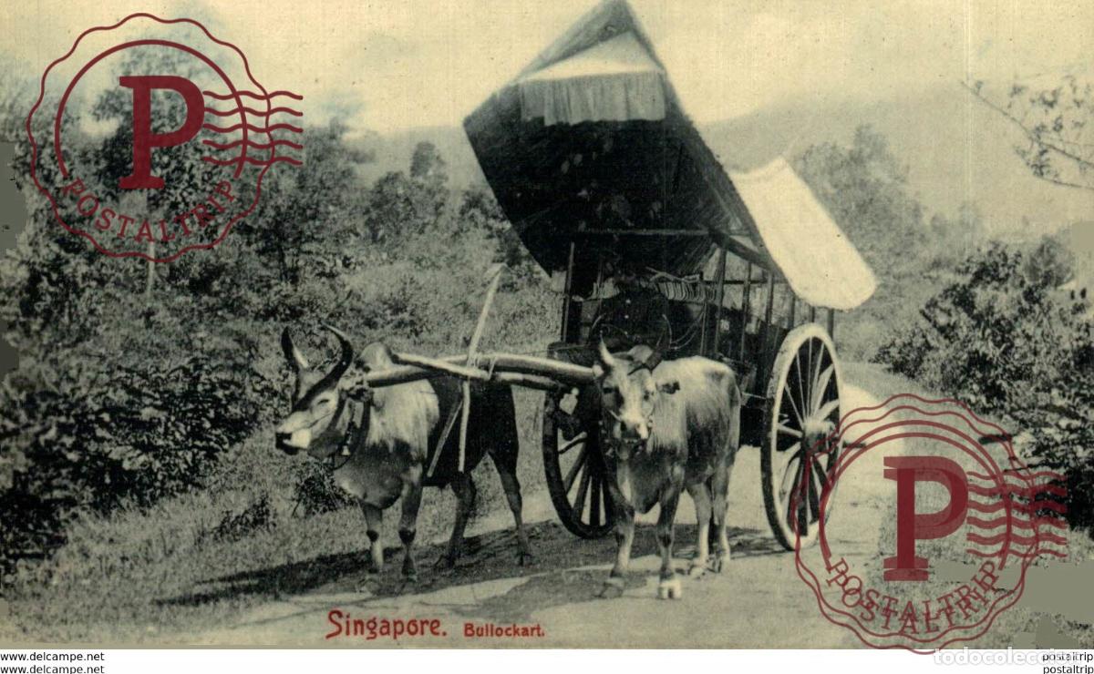 Postales: SINGAPUR SINGAPORE. - BULLOCKART