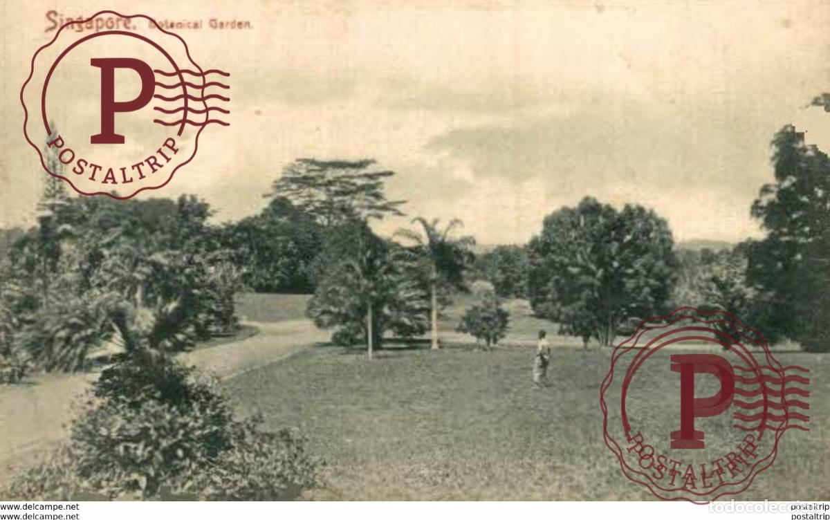Postales: SINGAPUR SINGAPORE. BOTANICAL GARDEN