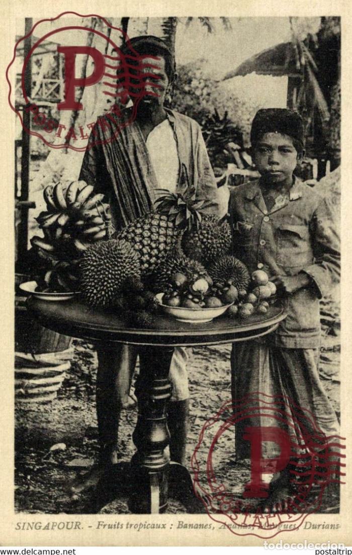 Postales: SINGAPUR SINGAPOUR. Fruits tropicaux, bananes, ananas
