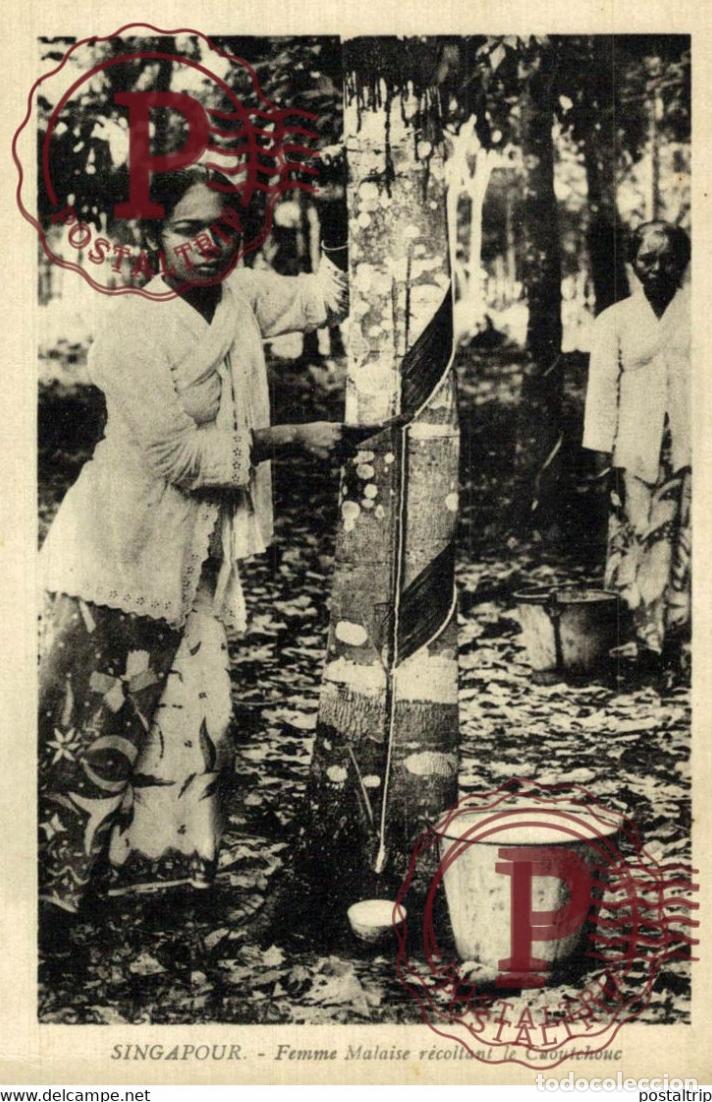 Postales: SINGAPUR SINGAPOUR. Femme malaise r&eacute;coltant le caoutchouc