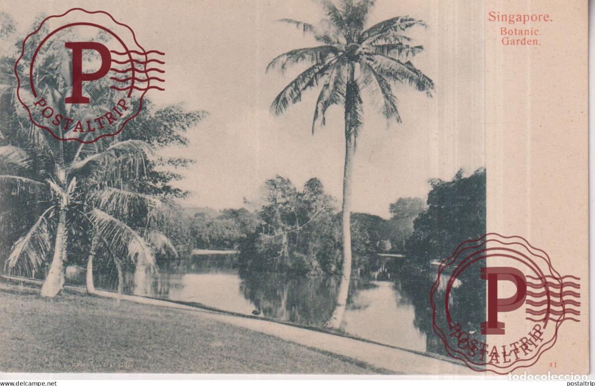 Postales: SINGAPUR SINGAPOUR SINGAPORE. BOTANIC GARDEN.