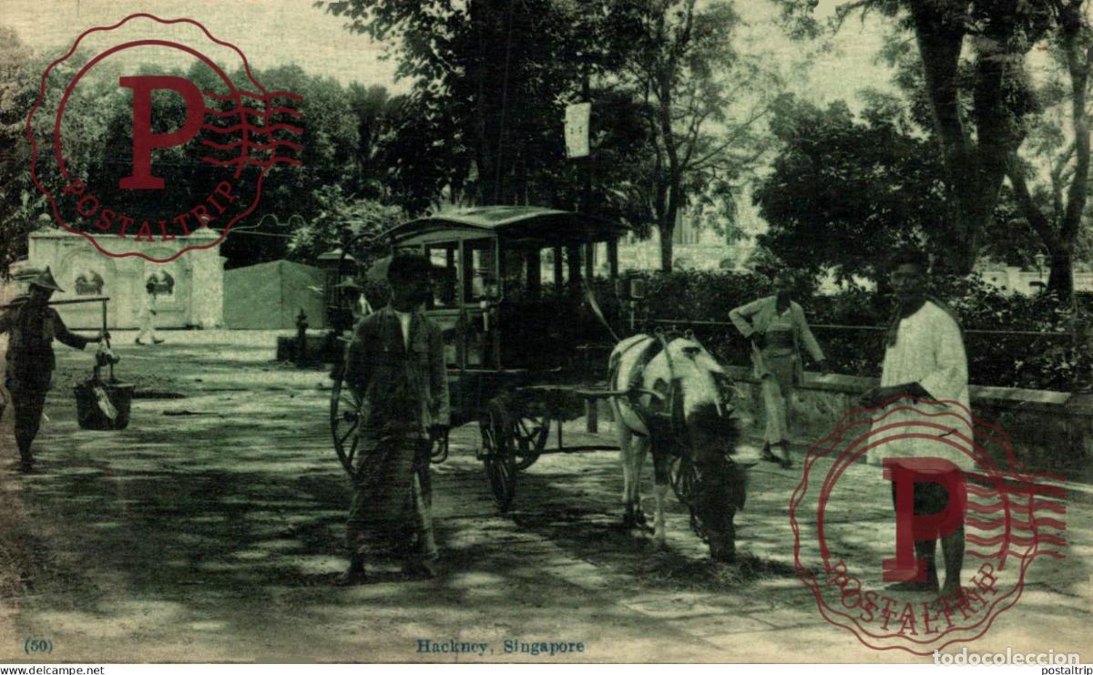Postales: SINGAPUR, SINGAPORE. Hackney - Foto 1