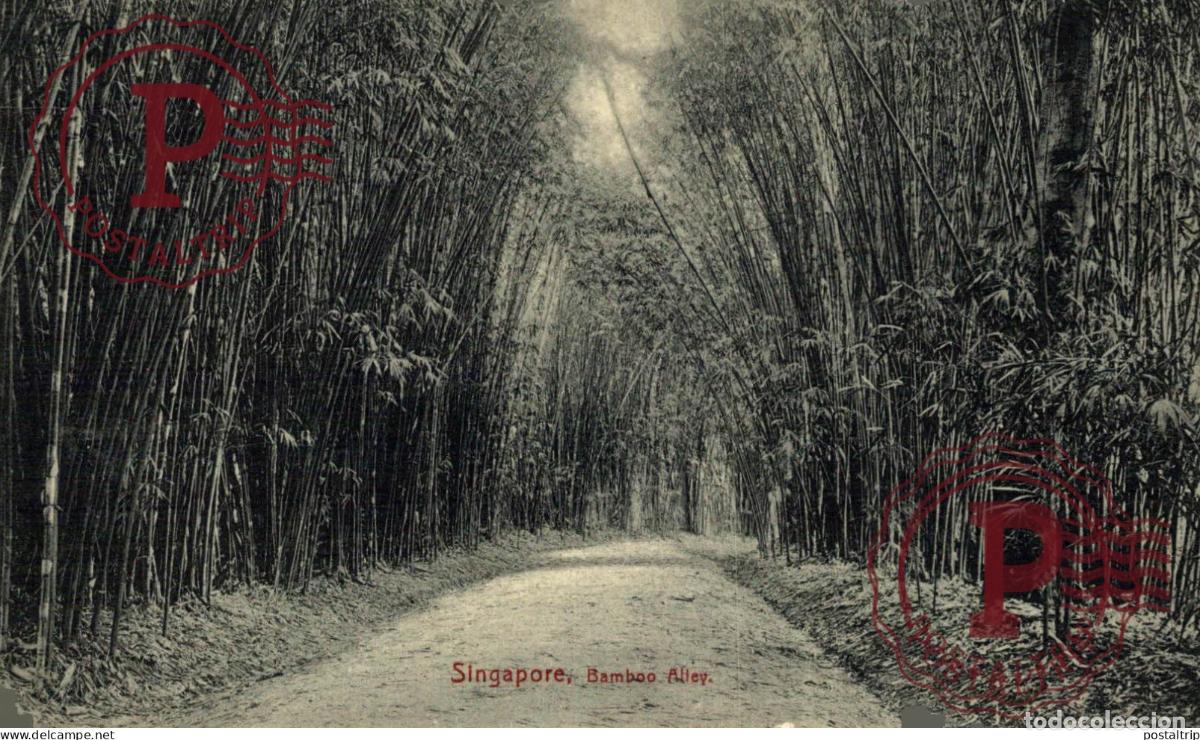 Postales: SINGAPUR - SINGAPOUR. SINGAPORE. - Bamboo Alley