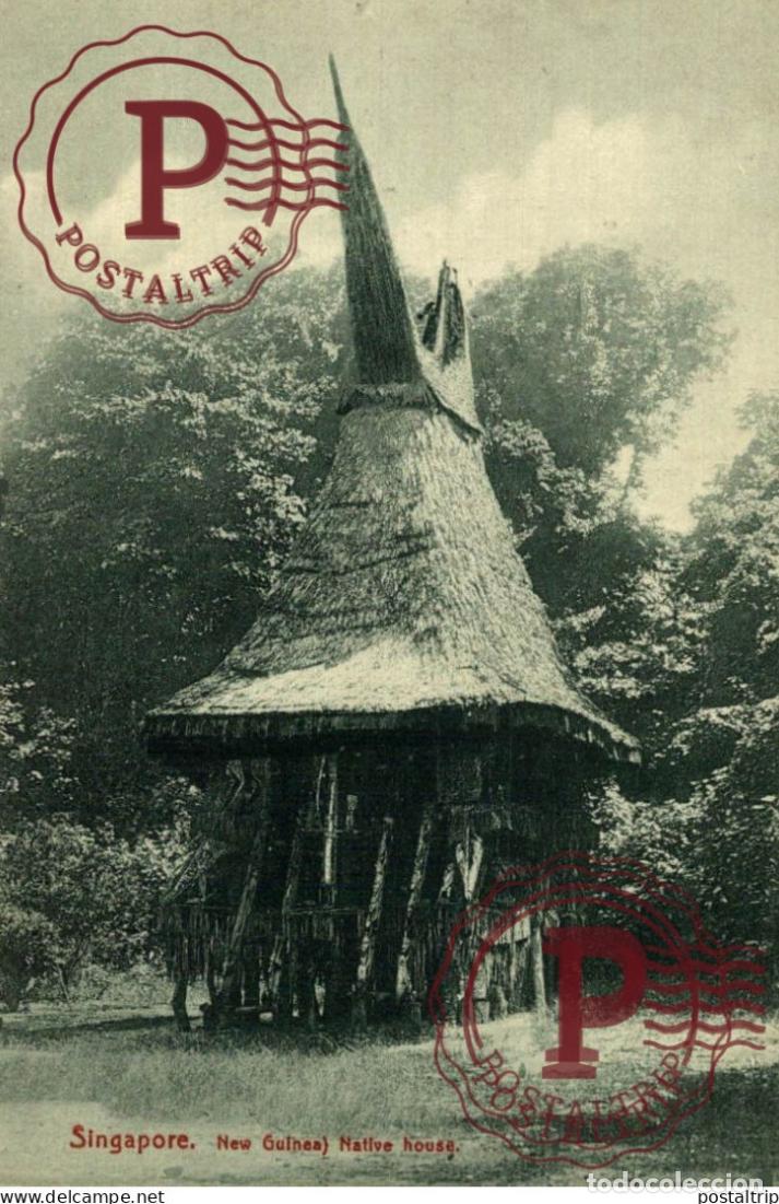 Postales: SINGAPUR. SINGAPORE New Guinea Native house
