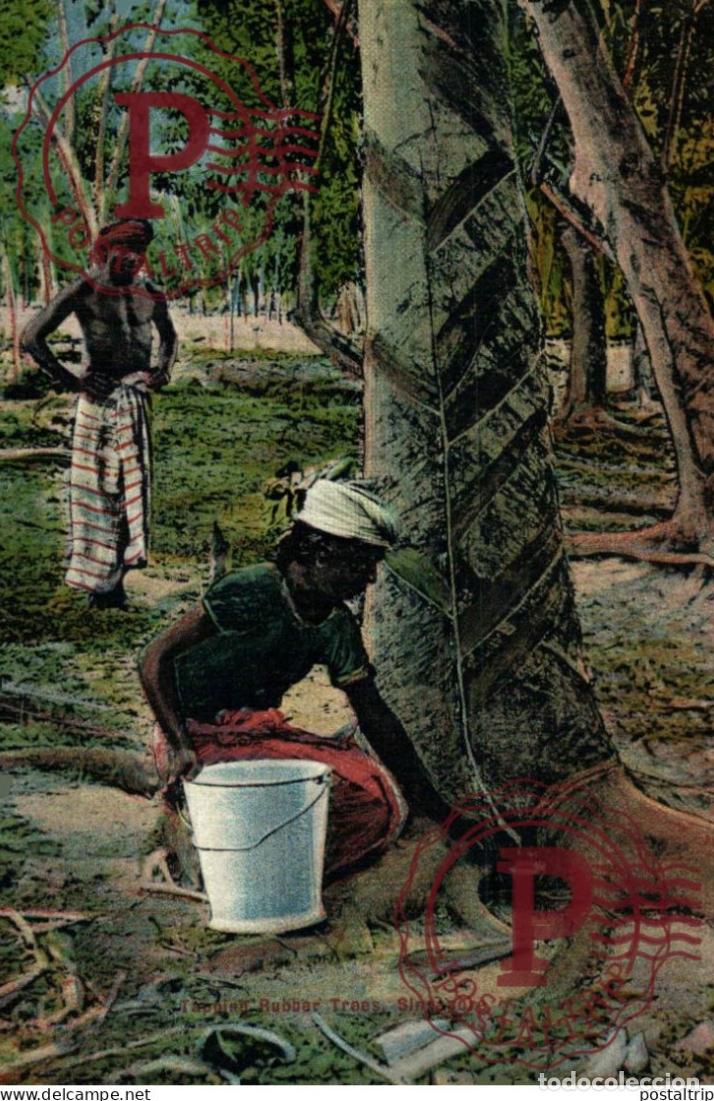 Postales: SINGAPUR. SINGAPORE, TAPPING RUBBER TREES. - Foto 1
