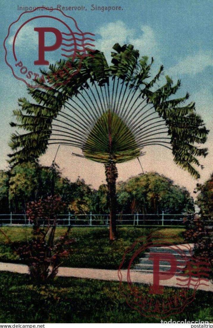 Postales: SINGAPUR. SINGAPORE, IMPOUNDING RESERVOIR