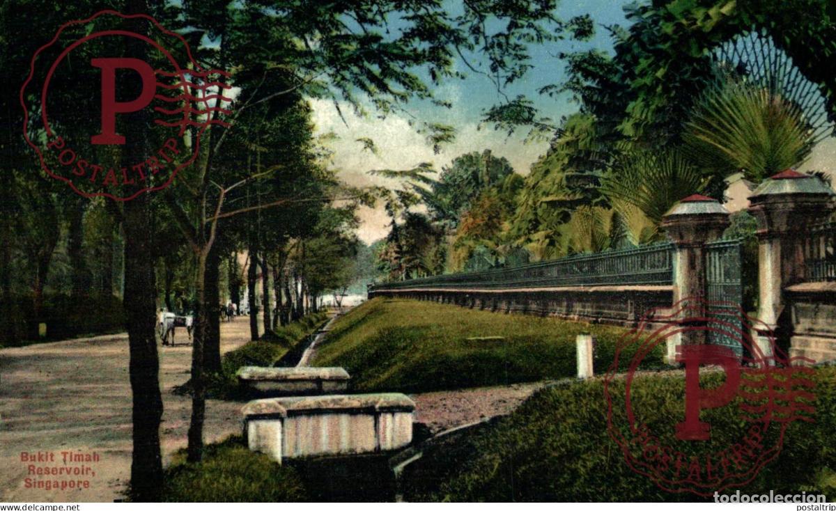 Postales: SINGAPUR. SINGAPORE, Bukit Timah Reservoir