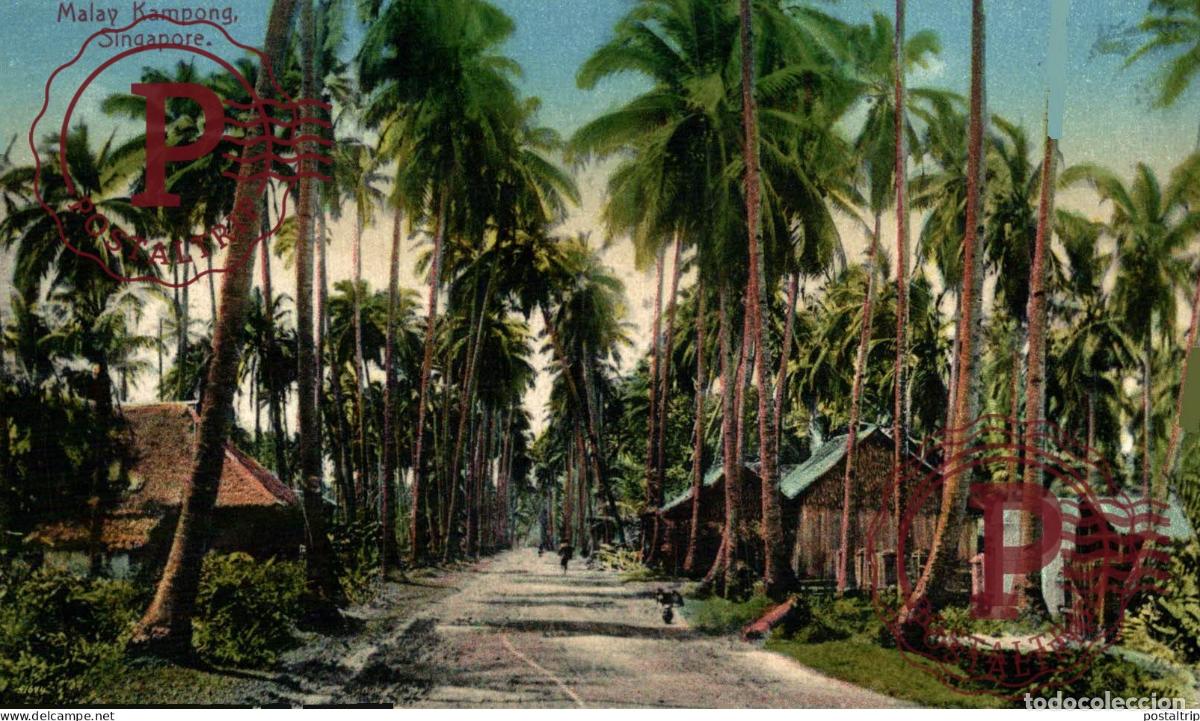 Postales: SINGAPUR. SINGAPORE, MALAY KAMPONG.