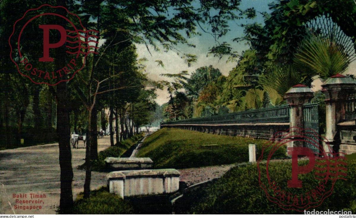 Postales: SINGAPUR. SINGAPORE, Bukit Timah Reservoir