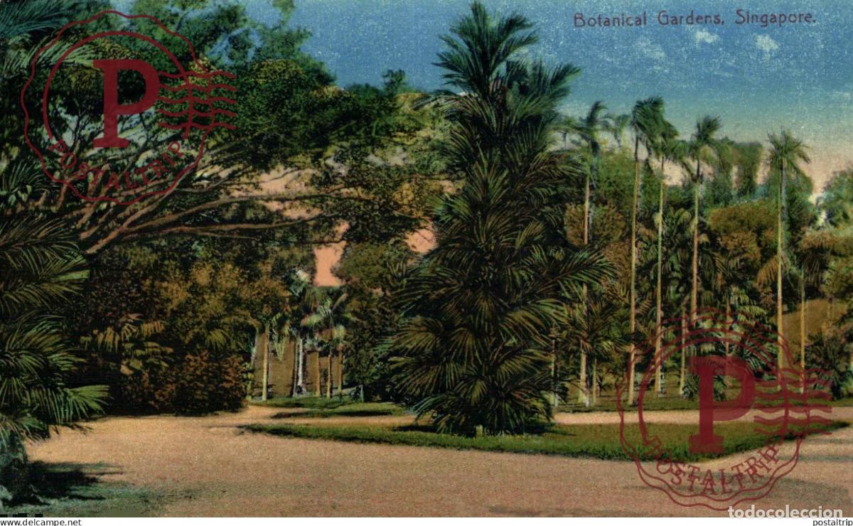 Postales: SINGAPUR. SINGAPORE, BOTANICAL GARDENS.