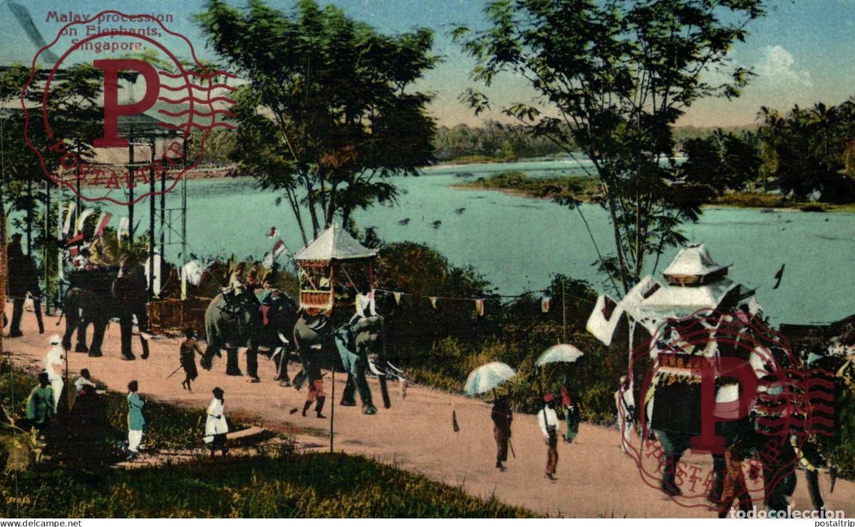 Postales: SINGAPUR. SINGAPORE, MALAY PROCESSION IN ELEPHANTS.