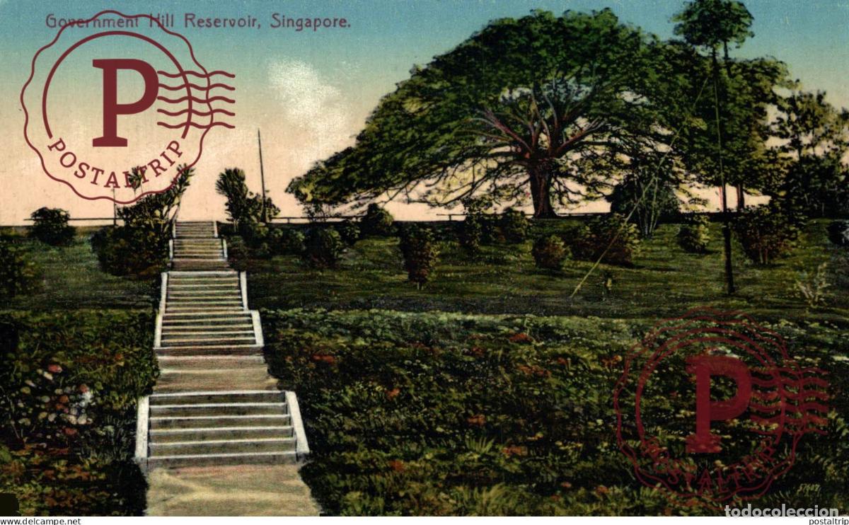 Postales: SINGAPUR. SINGAPORE, Government Hill Reservoir