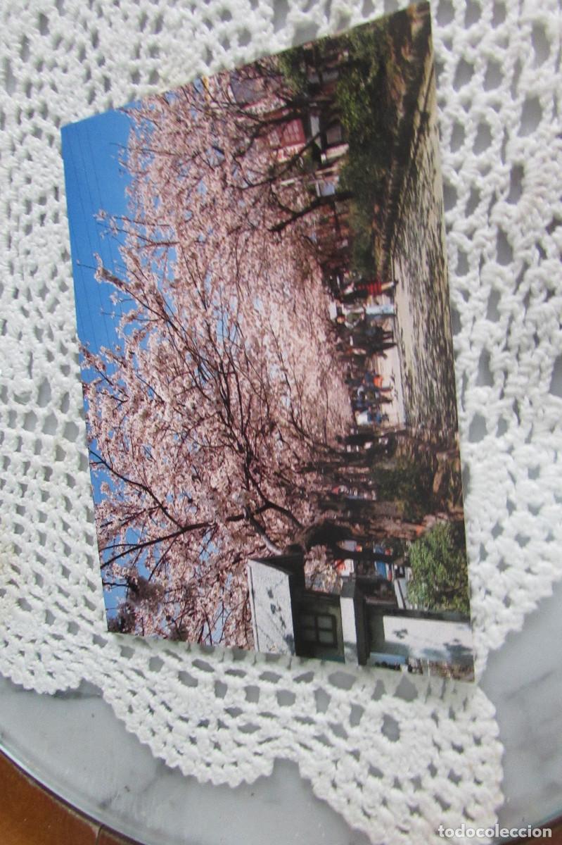 Postales: LOTE 20 POSTALES JAPONESAS - Foto 3