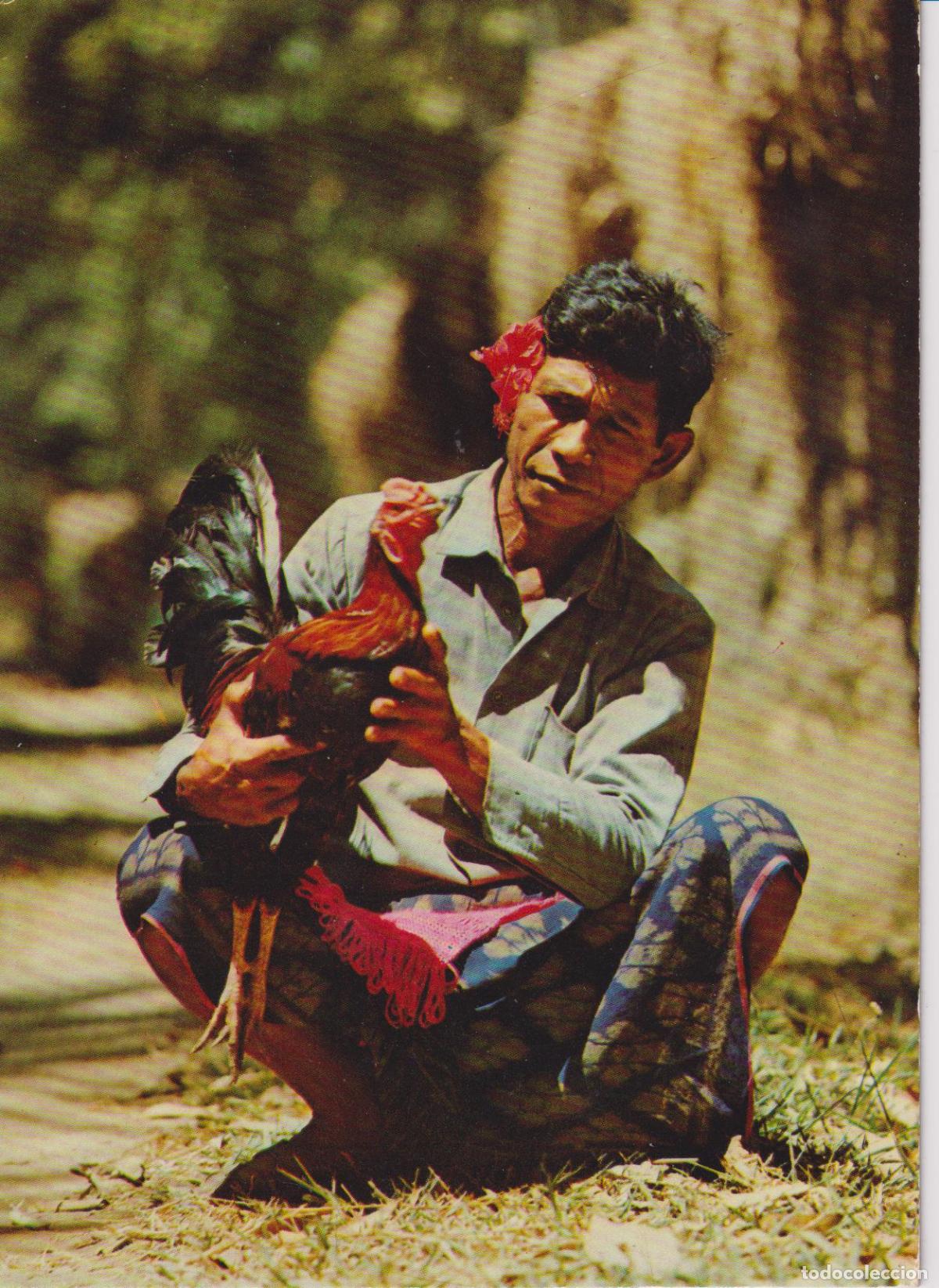 Postales: INDONESIA, ISLA DE BALI, EL HOMBRE Y EL GALLO DE PELEA DE BALI - CHANDRA & SON 21 - S/C