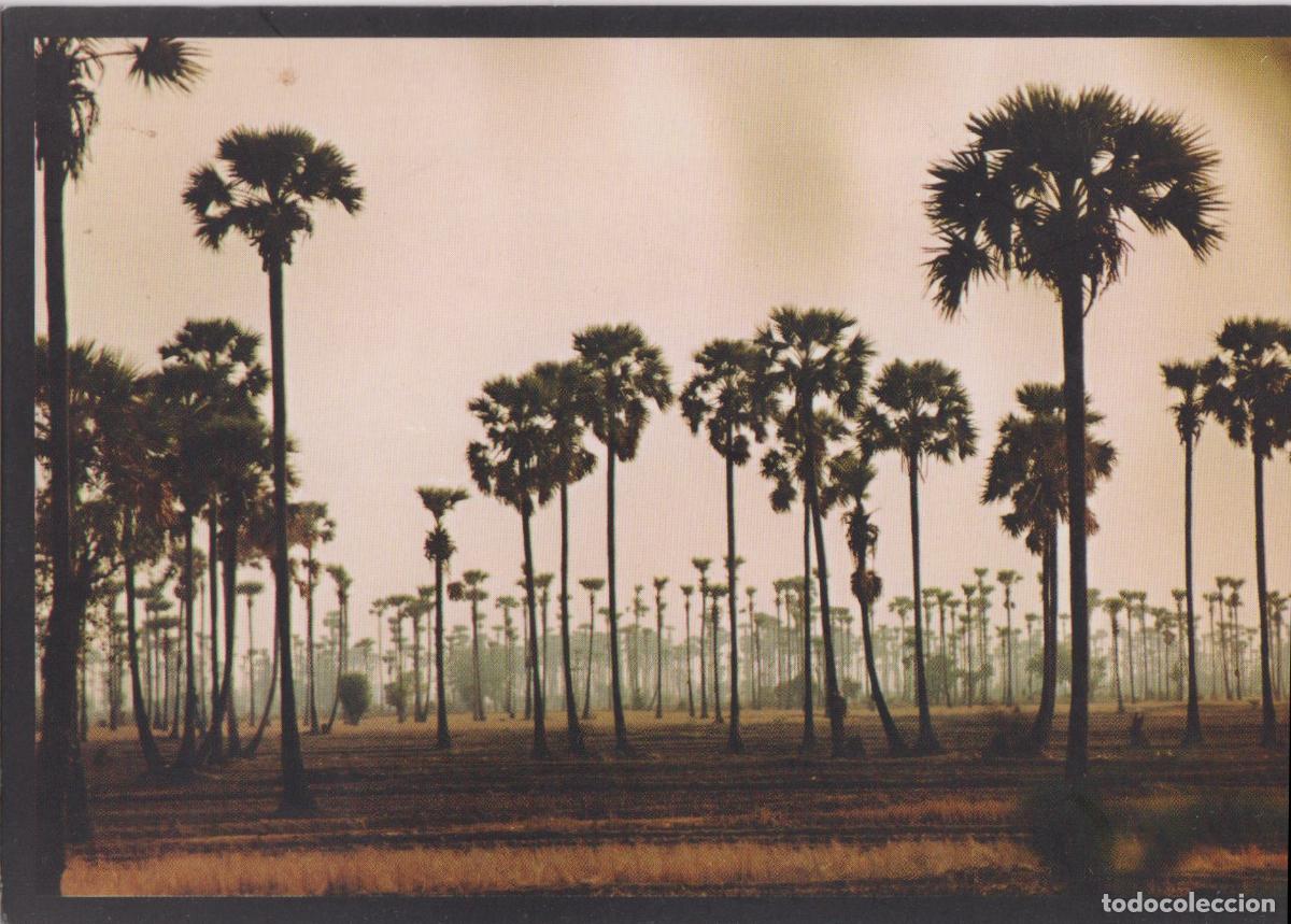 Postales: CAMBOYA, BATTAMBANG, PREFECTURA APOST&Oacute;LICA &ndash; PHOTO KIKE FIGAREDO &ndash; S/C