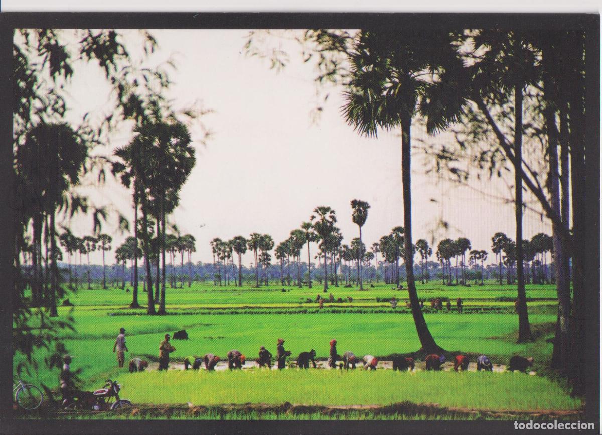 Postales: CAMBOYA, BATTAMBANG, PREFECTURA APOST&Oacute;LICA &ndash; PHOTO KIKE FIGAREDO &ndash; S/C