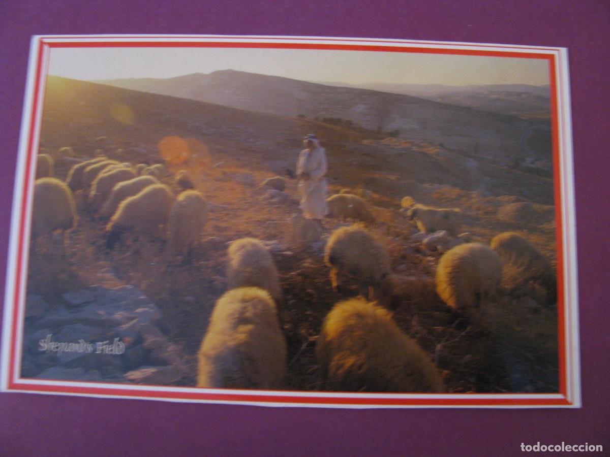 Postales: POSTAL DE PALESTINA. BETHLEHEM. BELEN. FOTO GARO D. NALBANDIAN