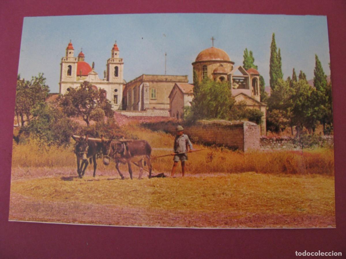 Postales: POSTAL DE ISRAEL. CANA DE GALILEA. FOTO H. DORFZAUN