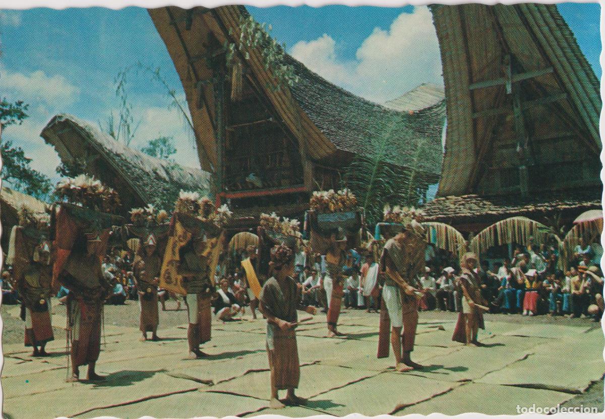 Postales: INDONESIA, ISLA CELEBES, TANA TANAJA, DANZA MANGANDA EN SIGUNTU - PS-1130 - S/C