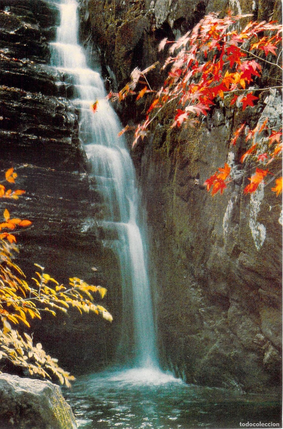 Cartes Postales: Postal Cascada Drag&oacute;n Amarillo Lushan China Paisaje Natural