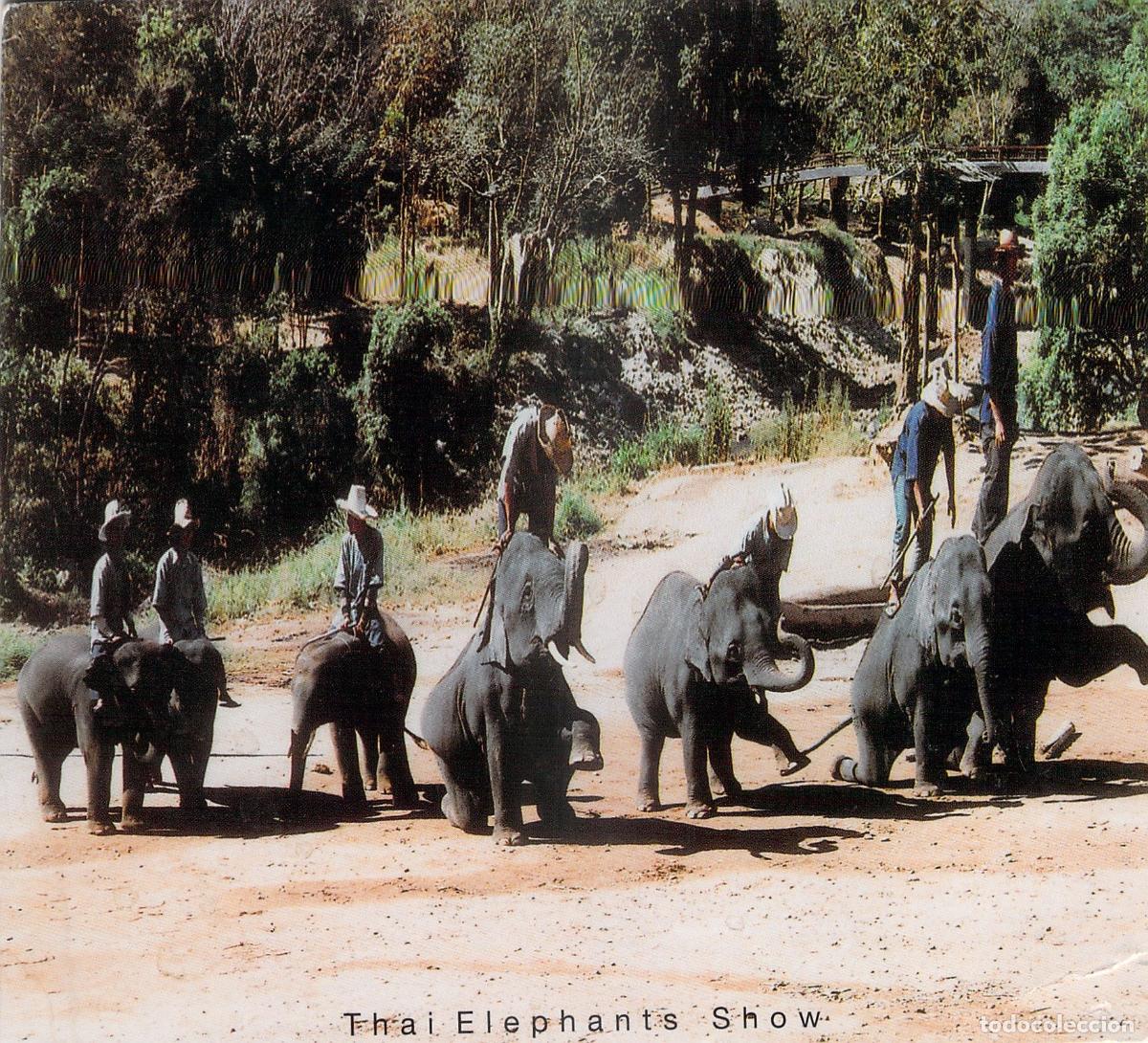 Postales: Postal del Espect&aacute;culo de Elefantes en Tailandia - Foto 1