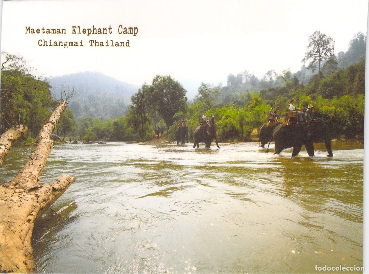 Postales: Postal del Campamento de Elefantes Maetaman, Chiang Mai, Tailandia