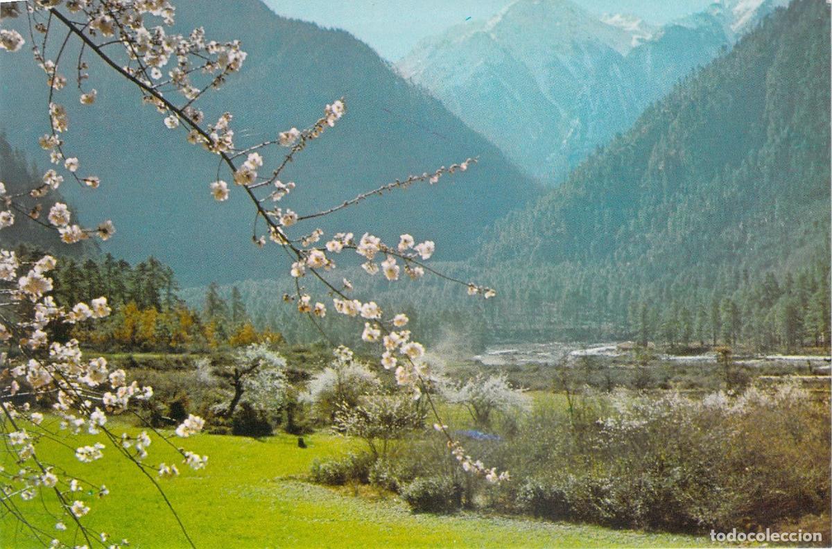 Postales: Postal de Paisajes del T&iacute;bet - Primavera en el Sur
