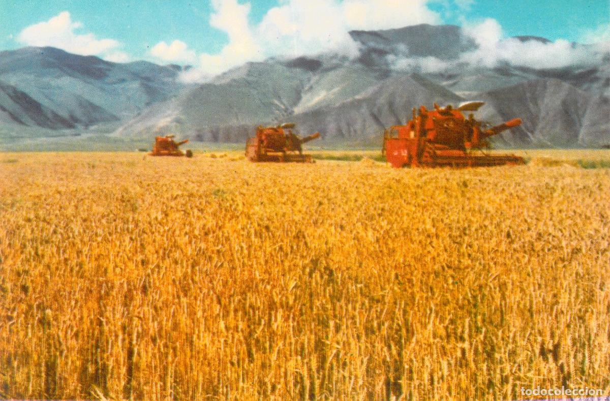 Postales: Postal de la Granja Phampo en el T&iacute;bet con Cosechadoras