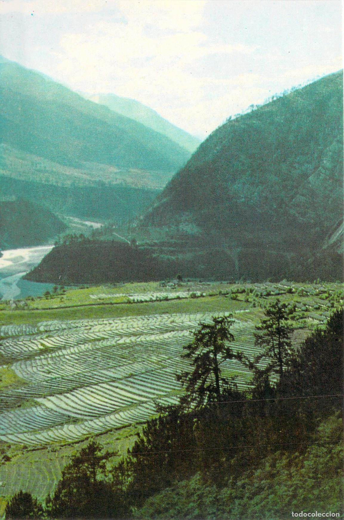 Postales: Postal Terrazas de Tsayul en el T&iacute;bet Sudoriental