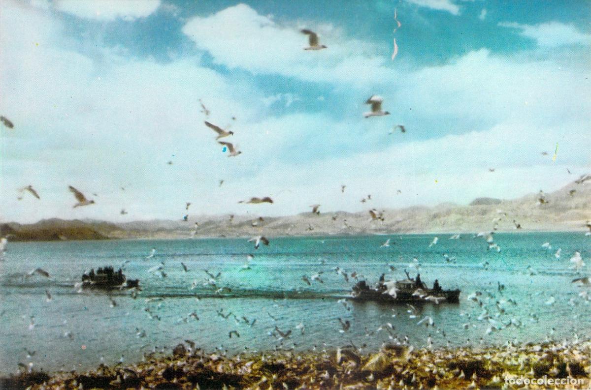 Postales: Postal Paisajes del T&iacute;bet - Isla de P&aacute;jaros en Ari, China