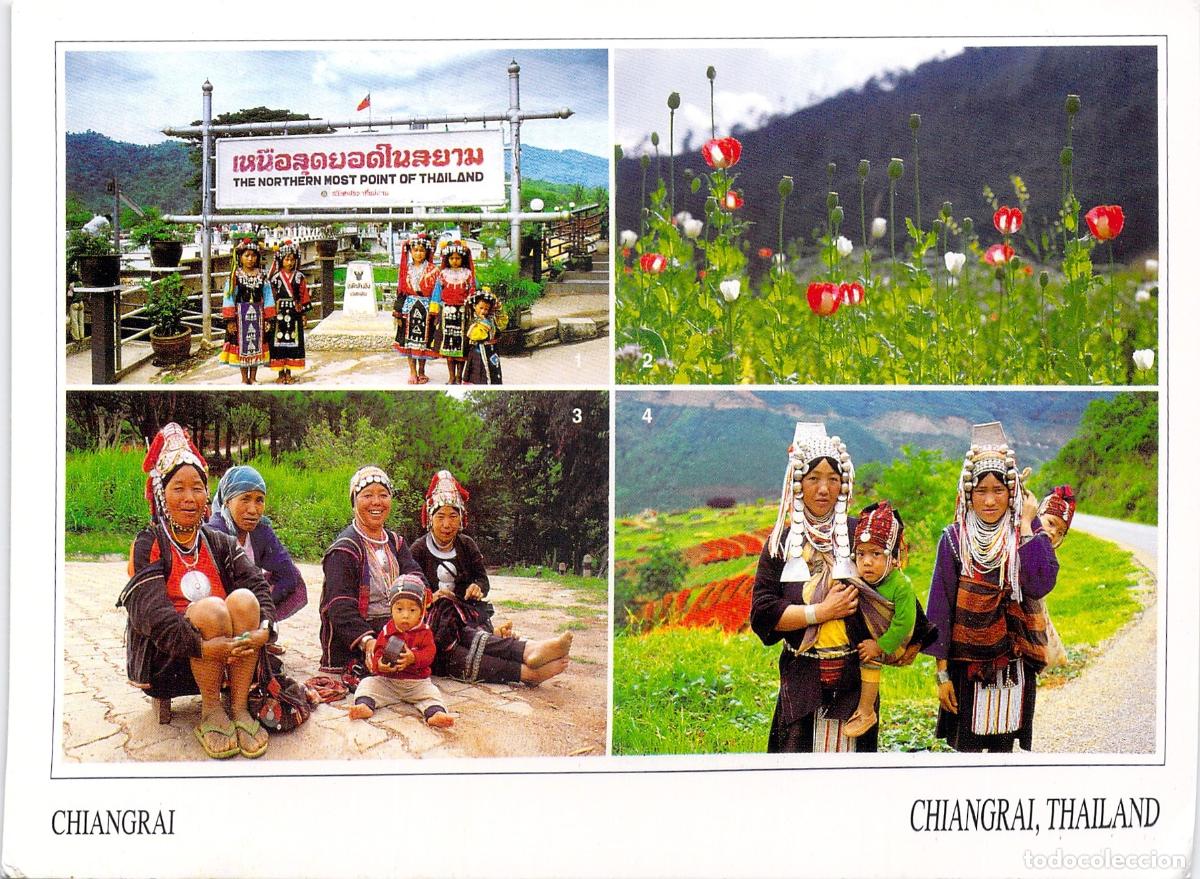 Postales: Postal Chiang Rai Tailandia Tribus de las Colinas y Campo de Amapolas
