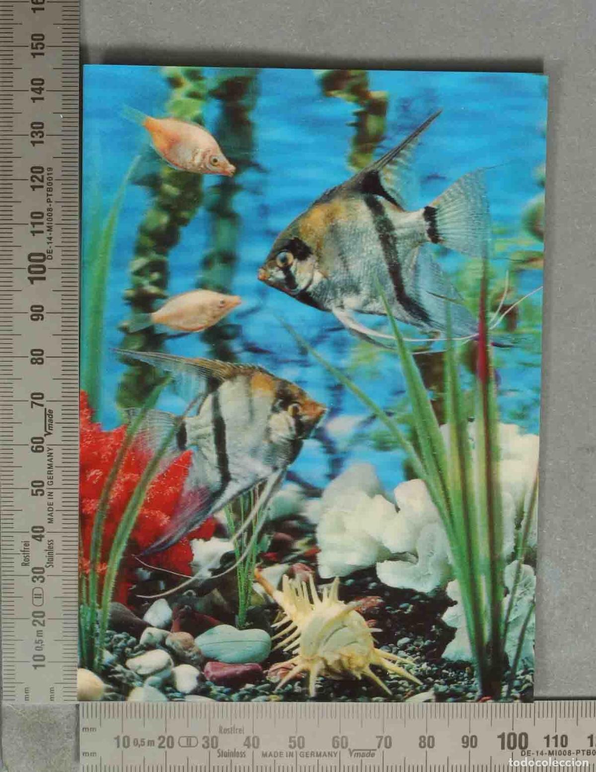 Postales: POSTAL. Peces - Acuario - Tokyo - Japan - Toppan