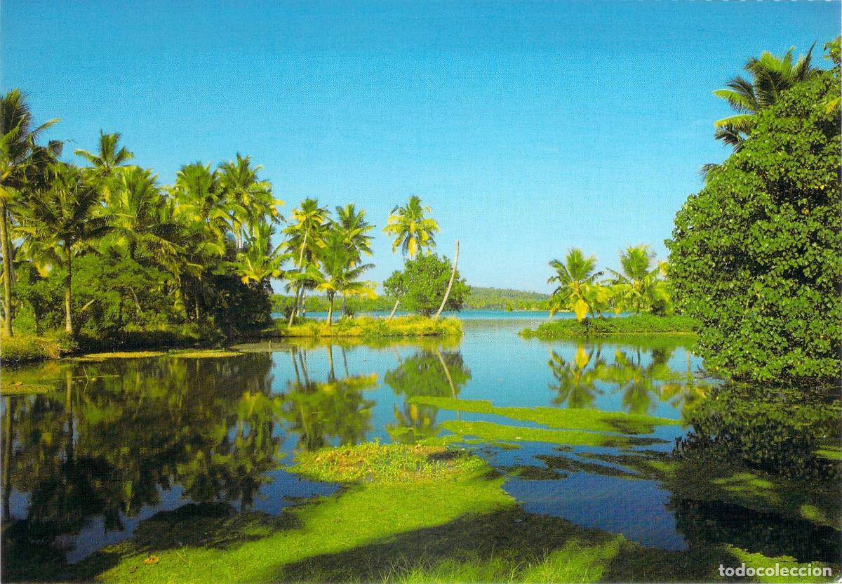 Postales: Postal Paisaje de Backwaters en Kerala India Palmeras y Lagunas