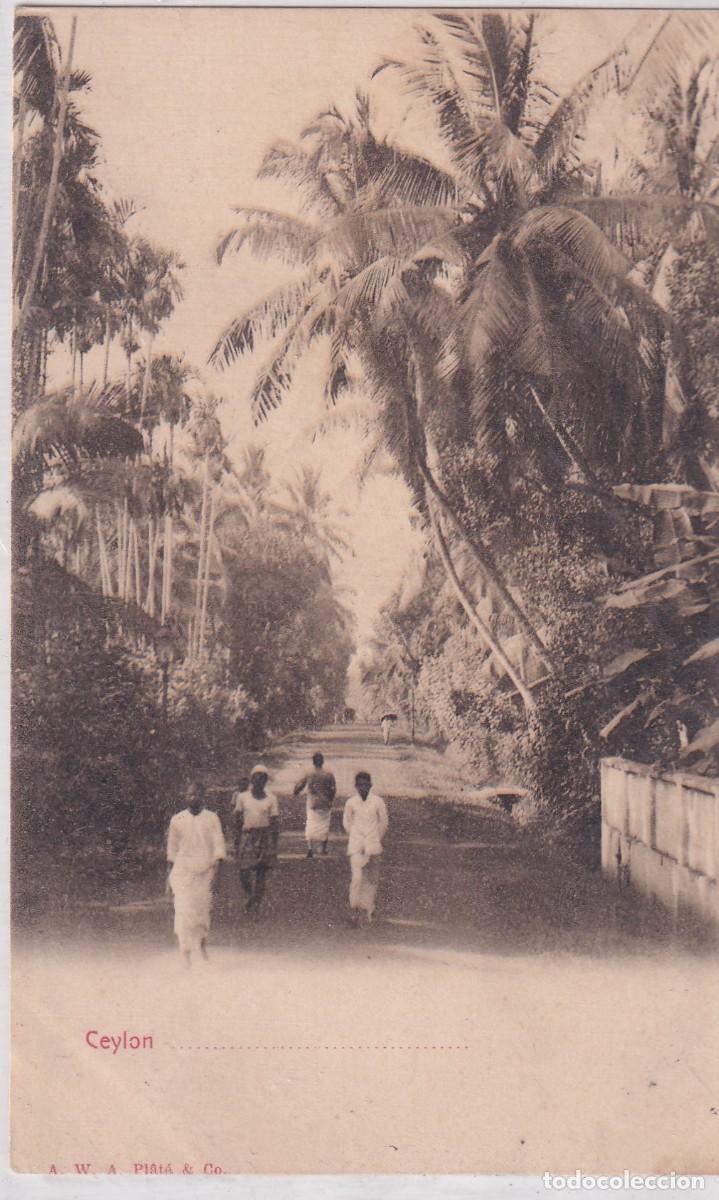 Postales: Ceylon. Ceylan. Reverso sin dividir. Sin circular.