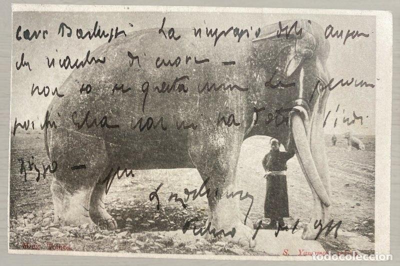 Postales: CPA China 1911 Pechino Elefante Tumbas Ming - Edicion S Yamamoto Mme Sietas - Escrita Italia Rara