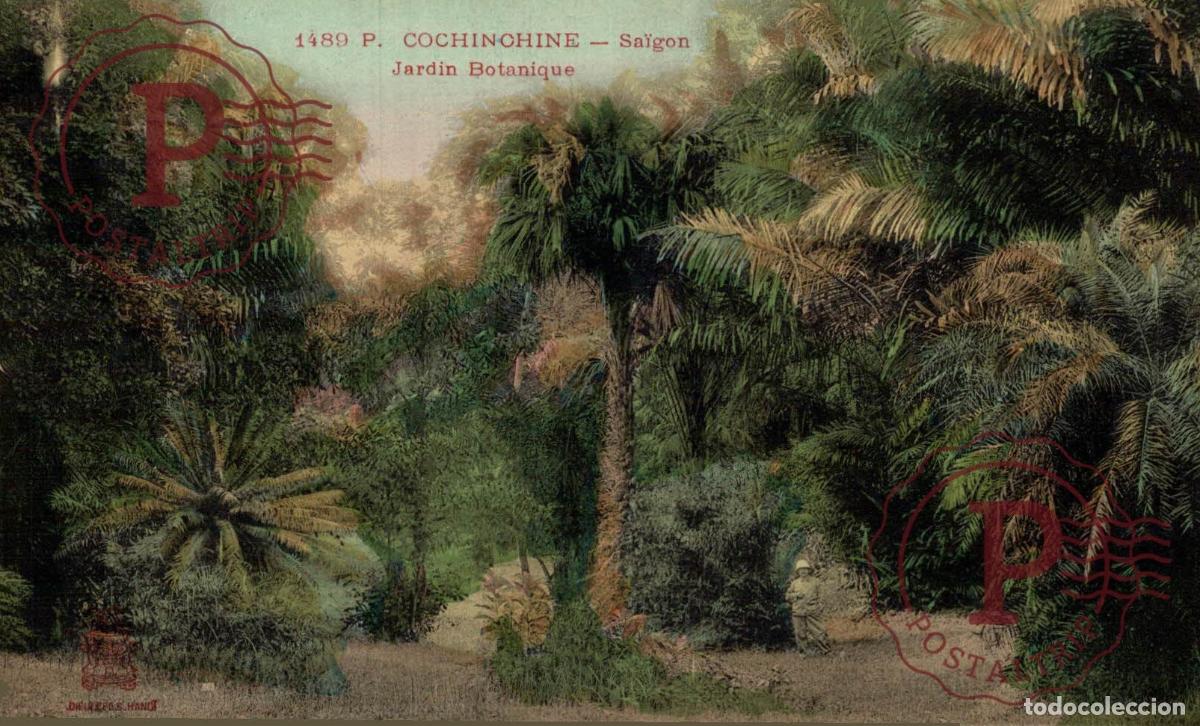 Postales: COCHINCHINE Indochine Cochinchine Sa&iuml;gon JARDIN BOTANIQUE ASIA ASIE INDOCHINE