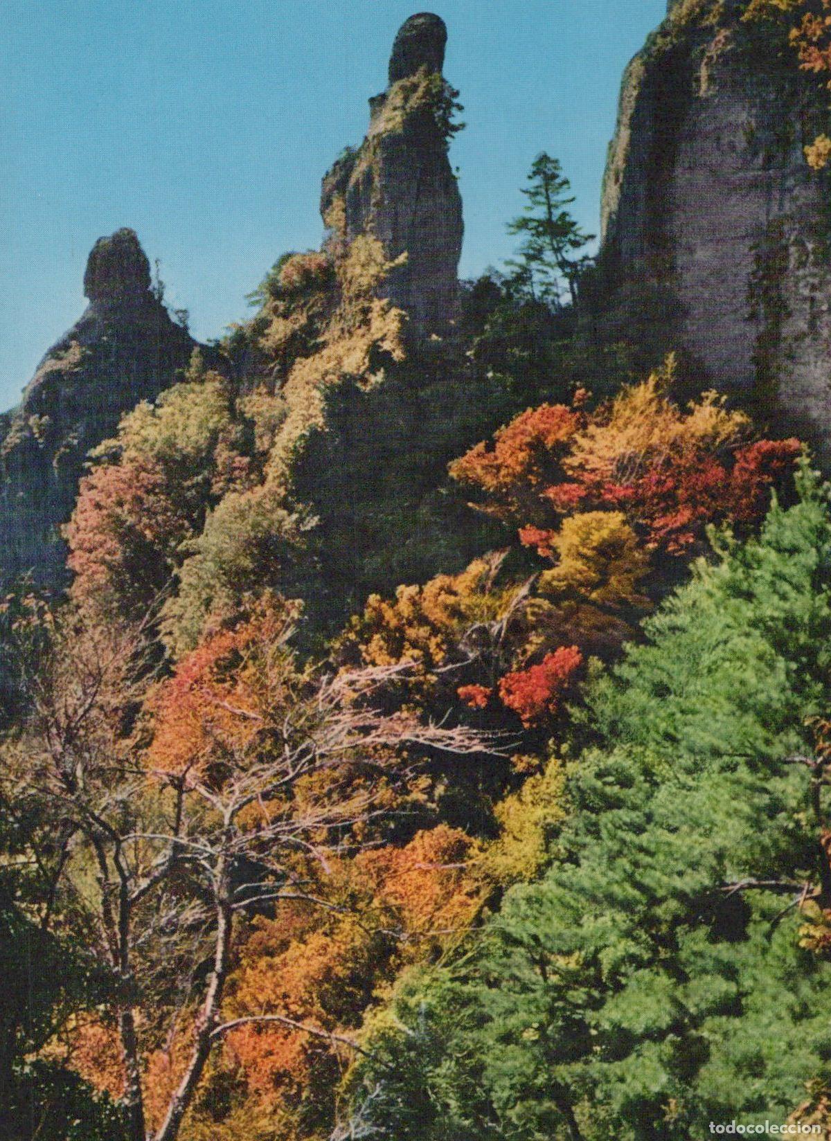 Postkarten: Japan Shodo Island Kankakei Gorge Autumn Foliage Landscape Unposted *YAK713