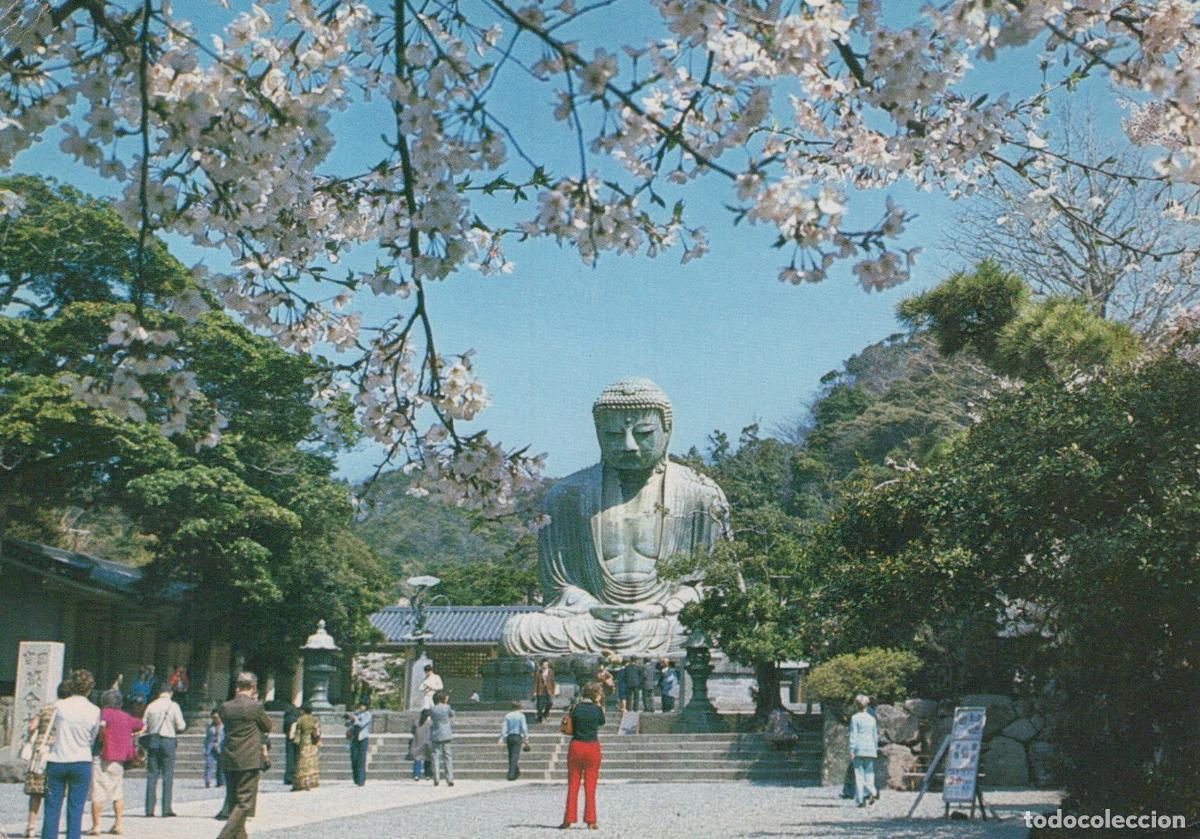 Postales: Japan Kamakura The Great Buddha in Cherry Blossom Springtime *YAM619