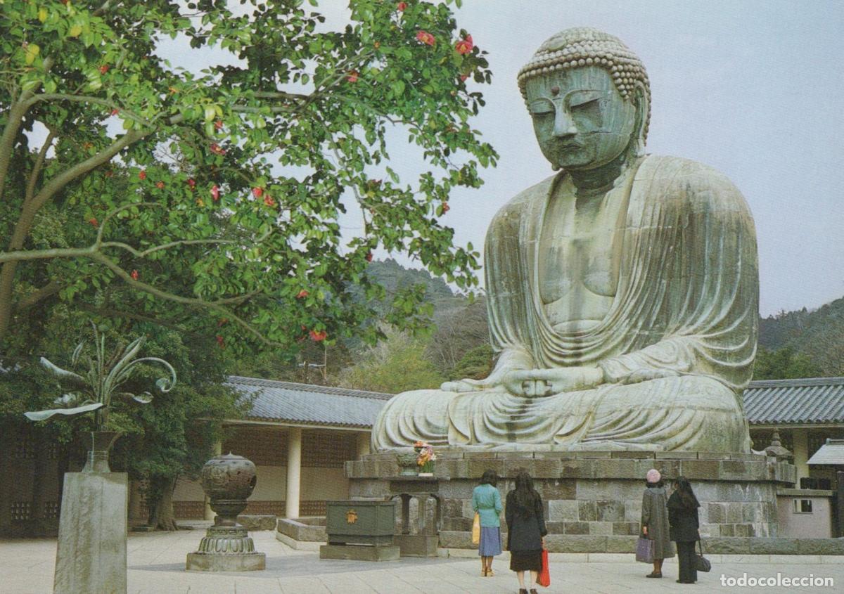 Cartoline: Japan Kamakura Great Buddha With Camellia Blossoms Daibutsu Unposted *YAR245