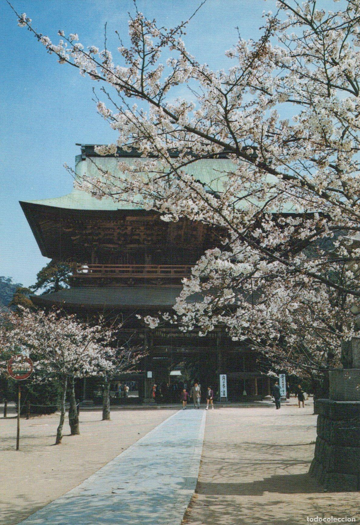 Postales: Japan Kamakura Kenchoji Temple and Cherry Trees in Bloom Unposted *YAR158