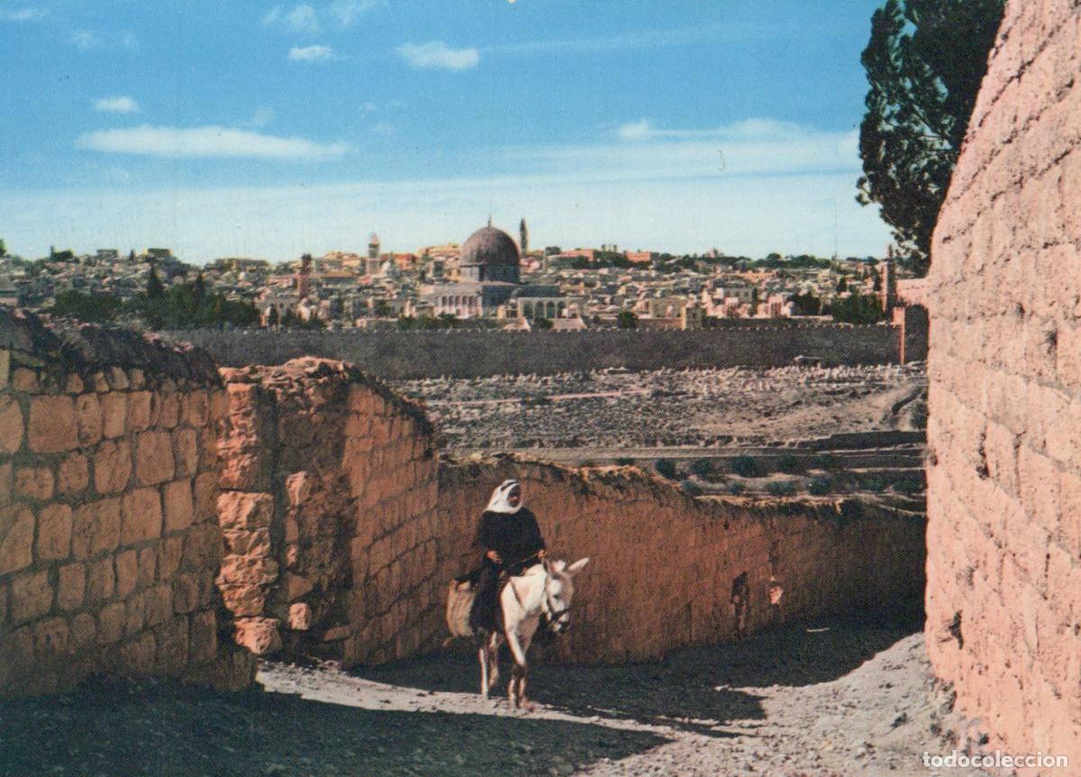Postales: Jordan Jerusalem General View Dome of the Rock Donkey Rider Unposted *YAR750