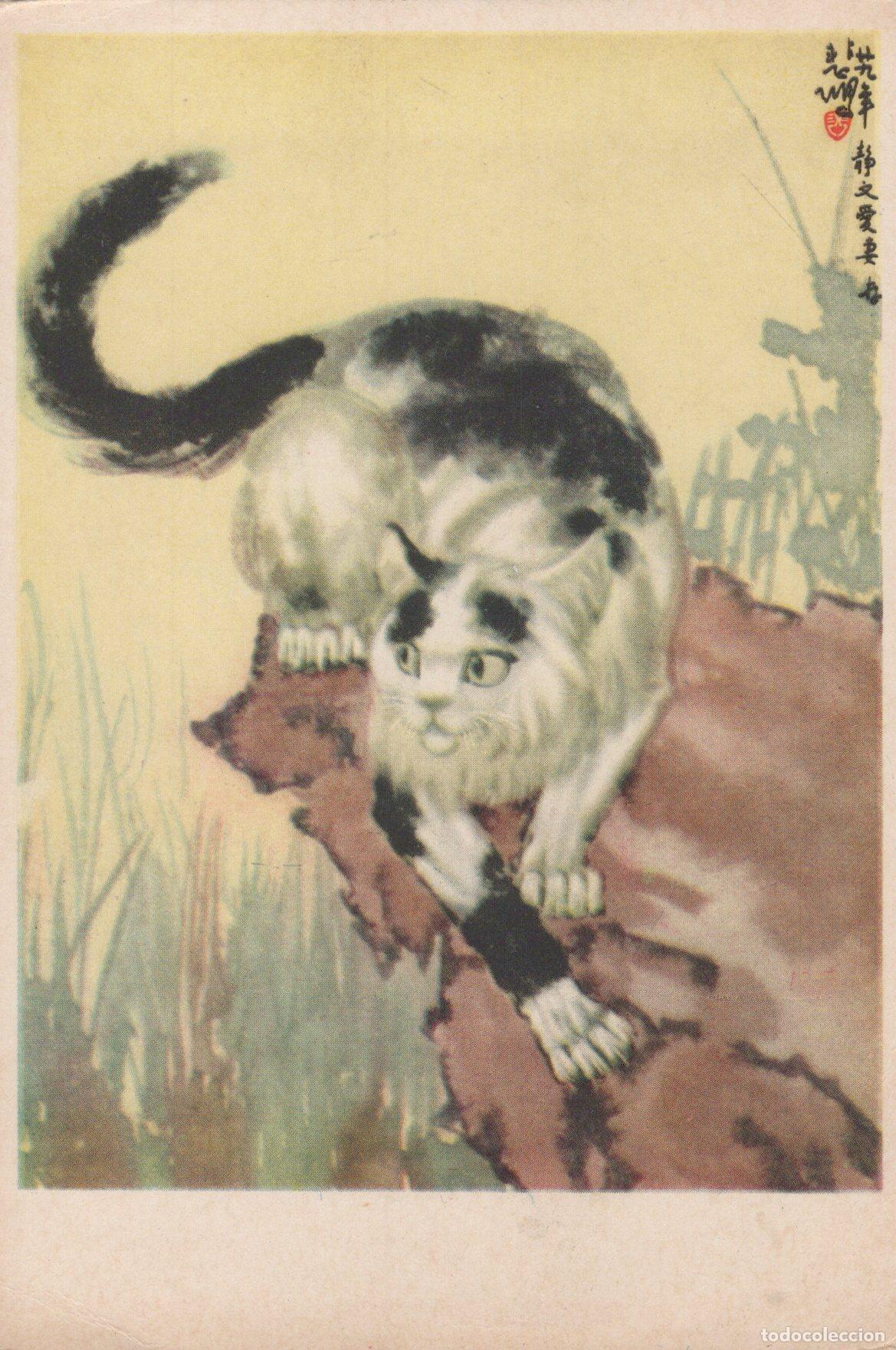 Postais: Japan Tokyo A Calico Cat With Black and White Fur Green Eyes Unposted *YAU125