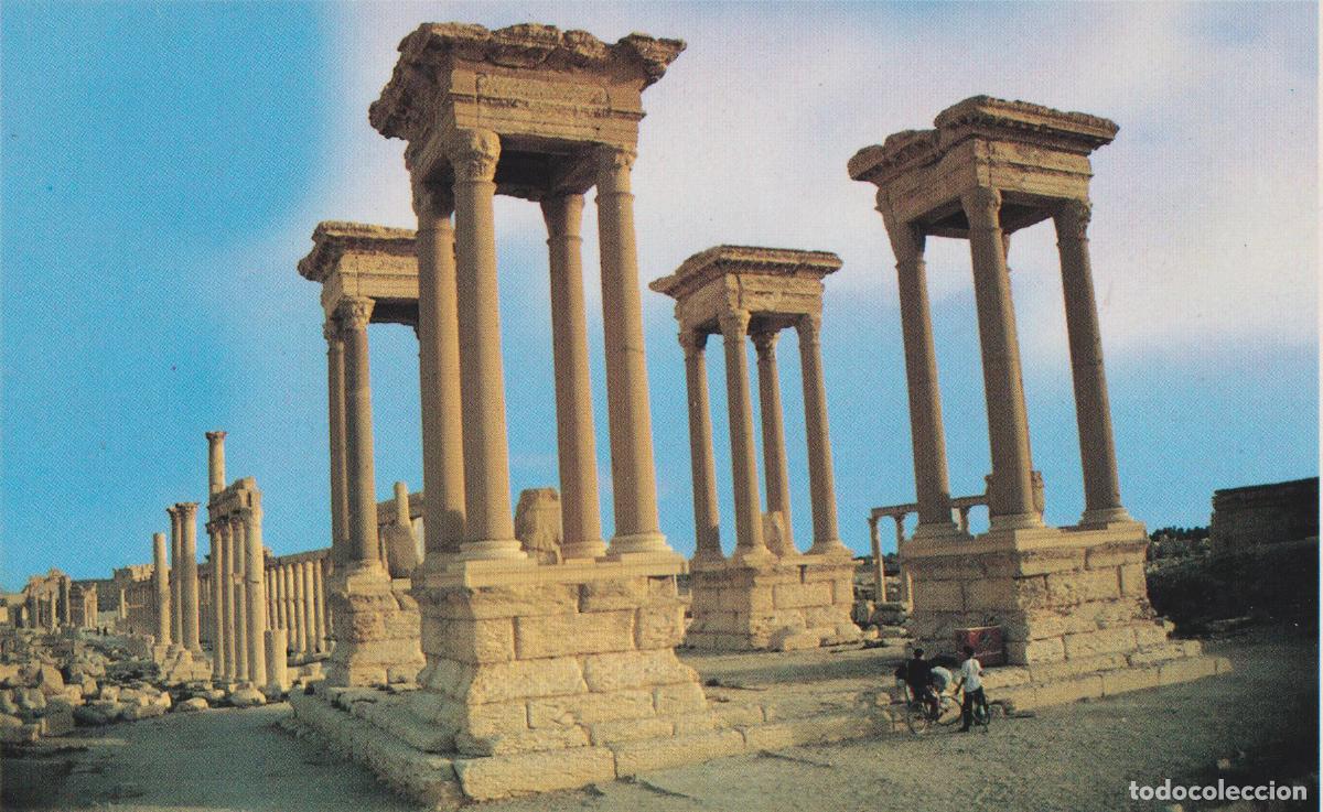 Postales: SIRIA, PALMIRA, EL TETRABELL (EL CRUCE) AL NORTE Y AL SUR &ndash; SAMERA &ndash; S/C