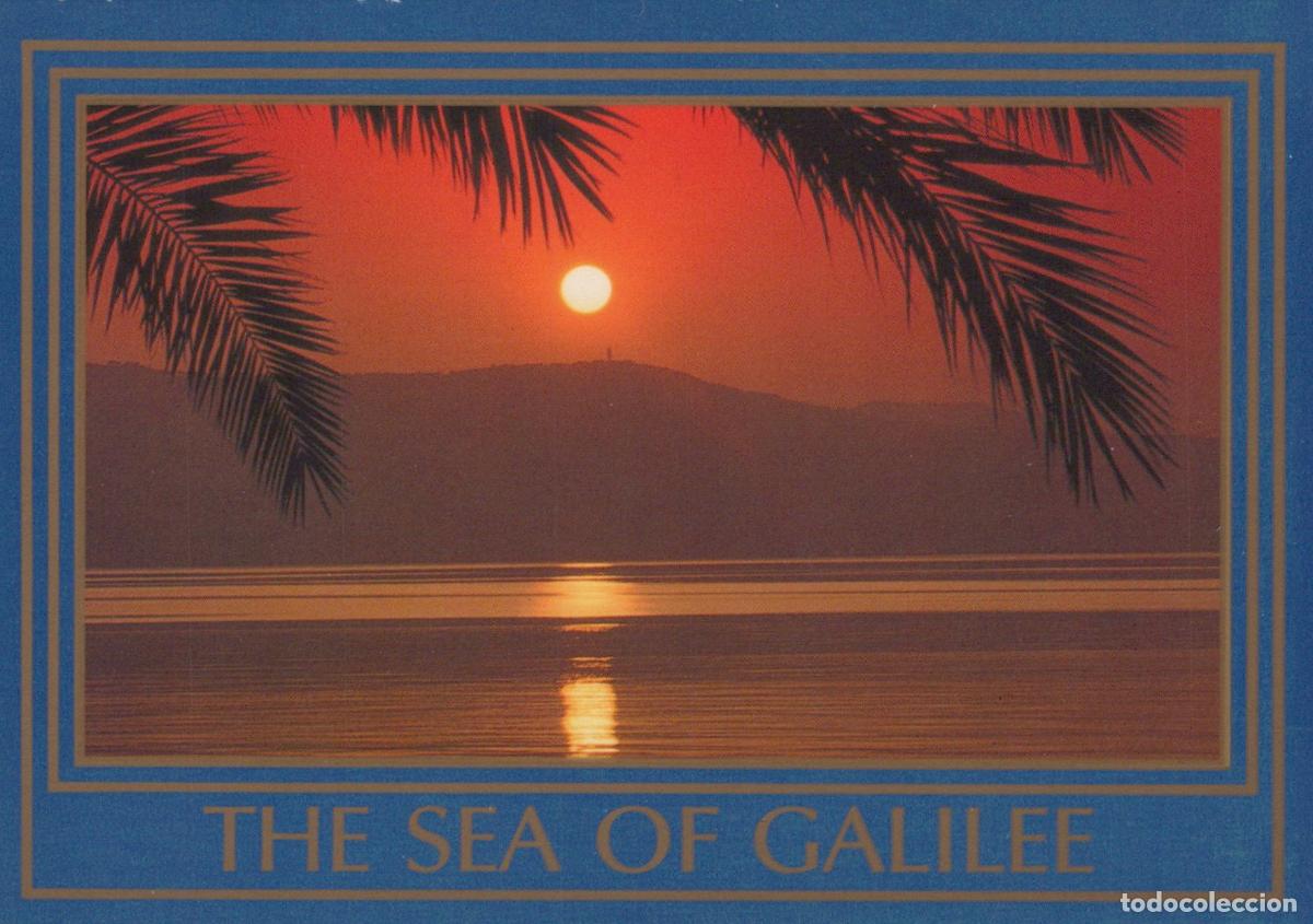 Postales: Israel Sea of Galilee Sunset Palm Trees Landscape *YAW012
