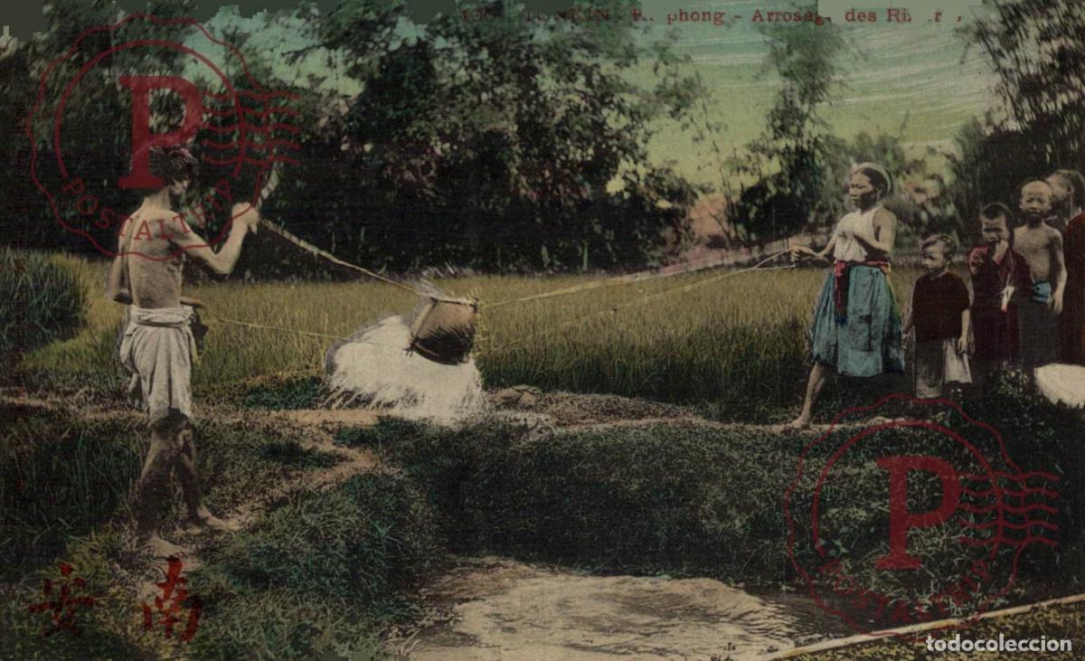 Postales: VIET NAM. VIETNAM. Asie - Vi&ecirc;t-Nam - TONKIN - Haiphong - Arrosage des Rizi&egrave;res