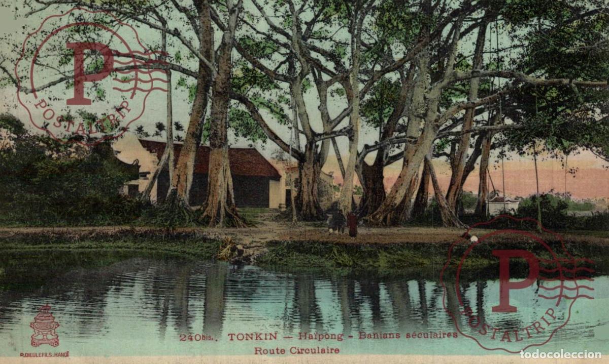 Postales: VIET NAM. VIETNAM. Tonkin - Ha&iuml;phong - Banians s&eacute;culaires, route circulaire