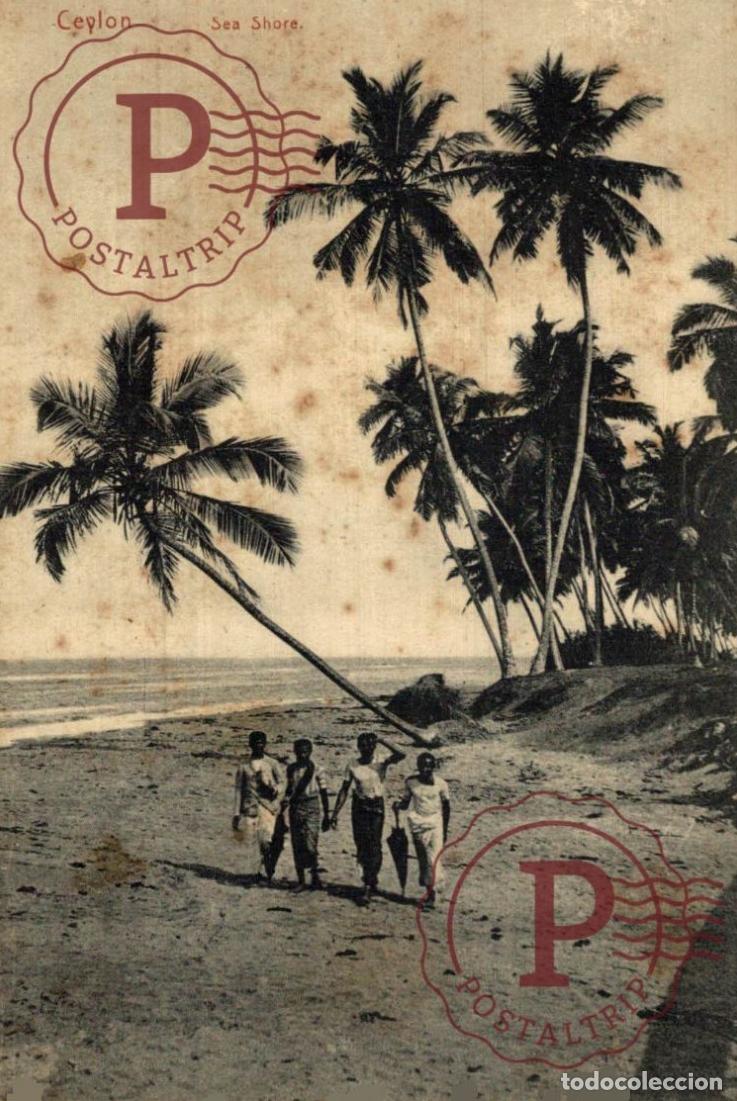 Postales: Asie - Sri Lanka - Ceylan - Ceylon - Colombo - Sea Shore - Palmie