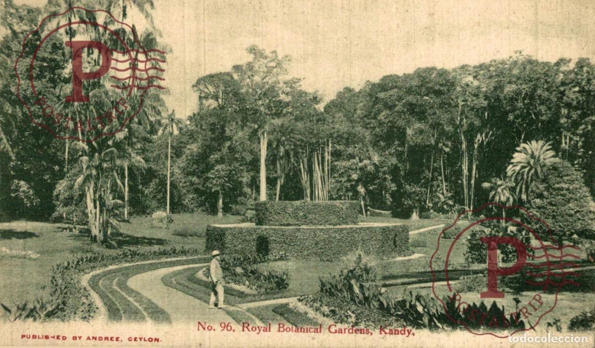 Postales: RARE SRI LANKA - CEYLON - Kandy, Royal Botanical Gardens Peradeniya