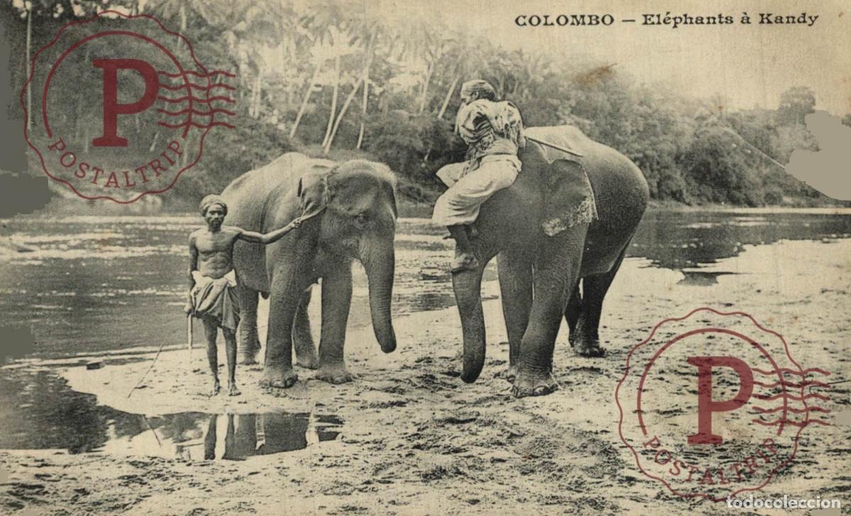 Postales: COLOMBO - El&eacute;phants &agrave; Kandy